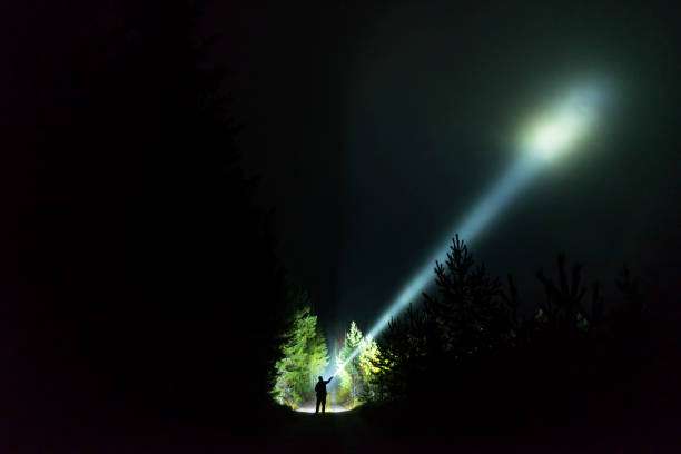 Person shines powerful headlamp beam through foggy forest.