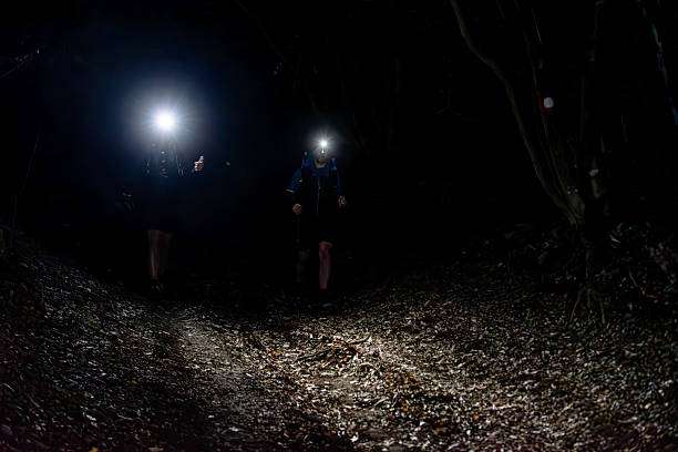 Image showing Headlamp 2