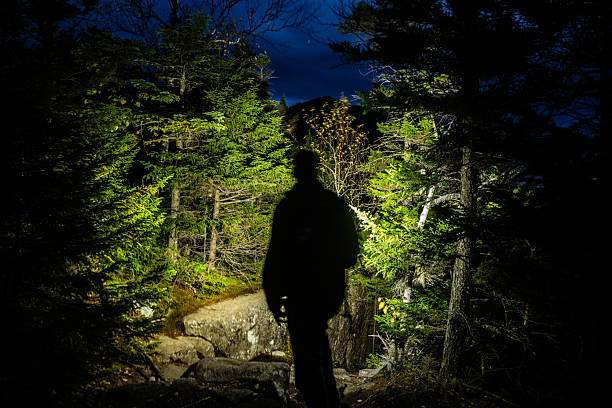 Hiker's silhouette in a dark forest, lit by a powerful headlamp for clear pathfinding.
